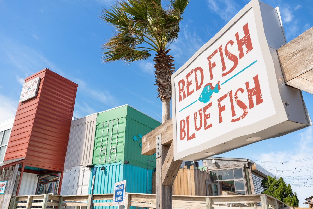 Low-angle view of the Red Fish Blue Fish sign and palm against stacked red, green, and teal shipping containers — photo by Jimmy Warr